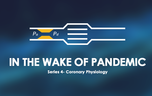In the Wake of Pandemic