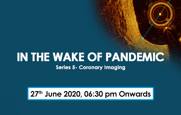 In the Wake of Pandemic