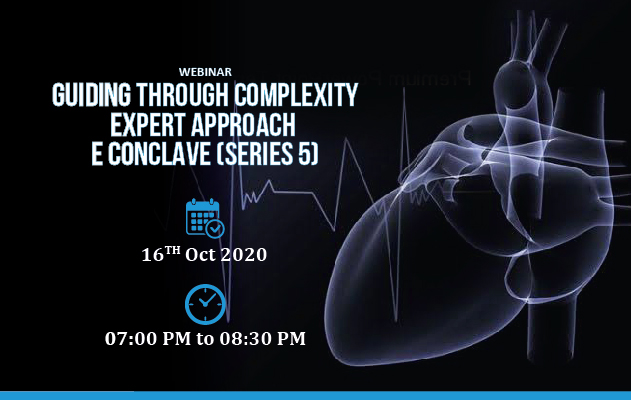 Guiding Through Complexity  Expert Approach E Conclave