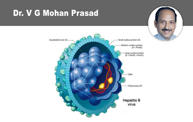 HBV - Diagnosis And Management