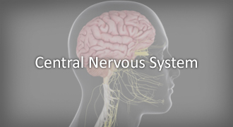 Treatment of Tuberculous Meningitis