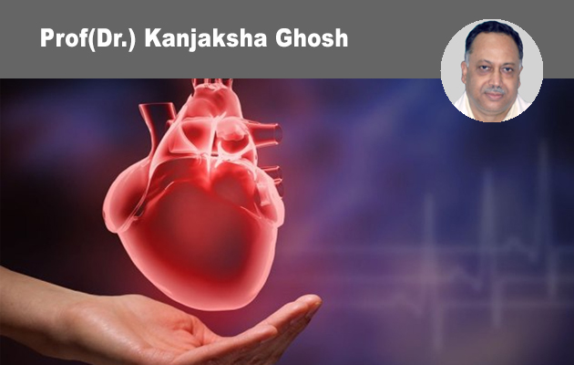 Understanding the underlying cause and management of Iron Deficiency in Heart Failure